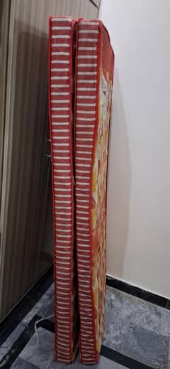 Mattress / 2 Single Bed Mattresses / Company Red Rose Quilt