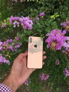 iPhone XS 64gb PTA approved