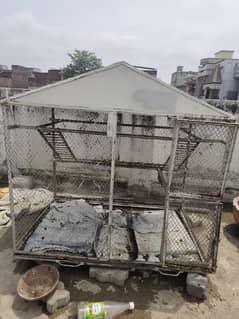 iron hen cage