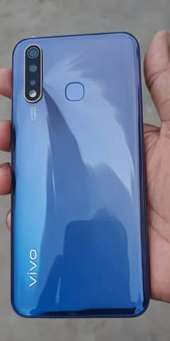 Vivo