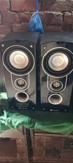 audionic