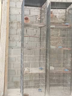 Parrot and pigeon cage