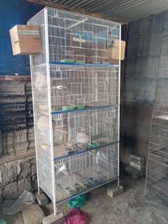 Cage For Parrots