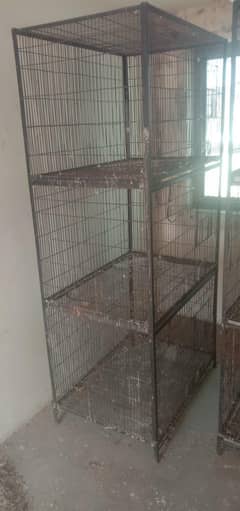 lovebird raw cage stick  boxex