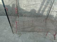 Big cage hen kaa li or parrot kaa li ha