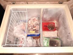 Dawalance Freezer