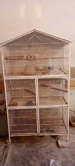 cage big size