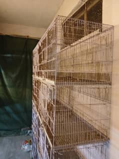 fixed cage