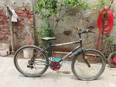 Bicycle