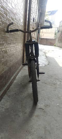 cycle