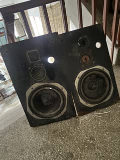 Woofers 12 inch