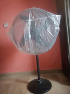Pak Fan sale Condition 10/9