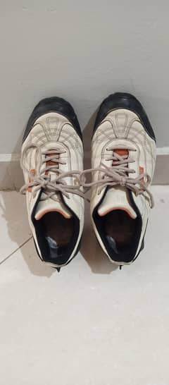 Used shoes in reasonable price.