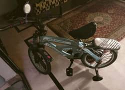 branded bicycle kids