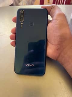 vivo