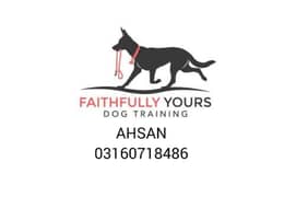 Dog Trainer