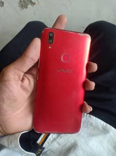vivo