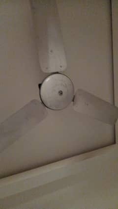 3 Fans In Cheap Rate