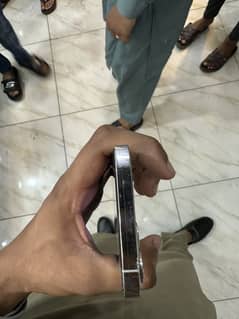 12 pro