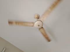wahid ceiling fan i