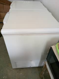 D freezer shop par he model 385. colar white dabl door