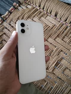 Apple iPhone 12