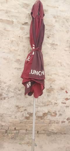 Umbrella