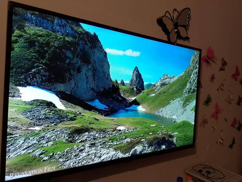 TCL led 43S6500 14