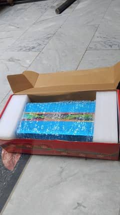 Alkaram car inverter