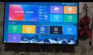 55"