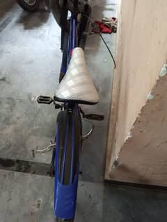 Cycle