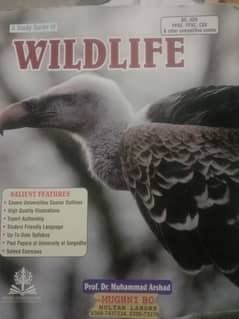 wildlife