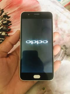 Oppo mobile use WhatsApp contain number 03209962143