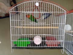 Small Cage For Sale Without Birds