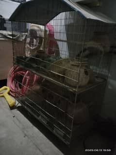 parrot cage