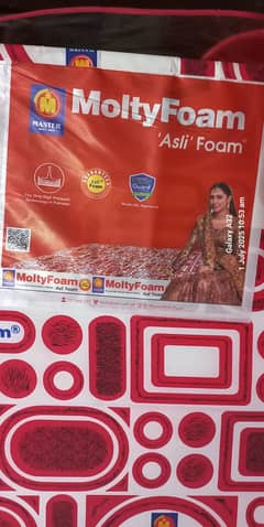 Master Molty Foam (asli)foam mattress
