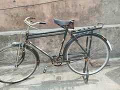 shaheen bicycle