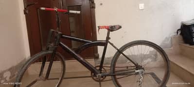 super shino cycle