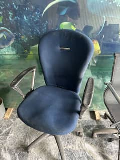 Branded Lot Chairs visitor chairs computer chairs or dining chairs