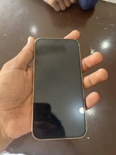 Iphone 12 pro Golden color 128gb JV
