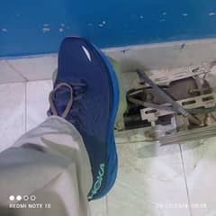 Hoka