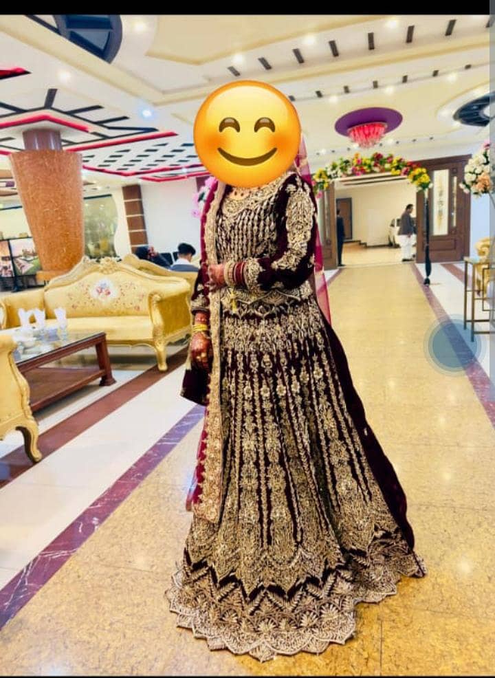 birdle lehnga sale bhtt zada piyra bilkul new hai  work b bhtt acha ha 1