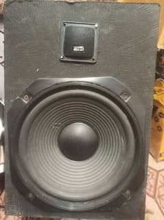 10 inch speaker