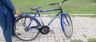 blue bycle