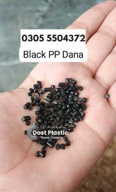 PP