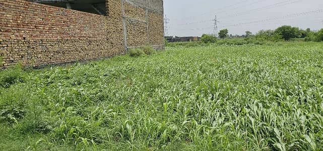 Panian Haripur Sajawal Abbad - Land & Plots - 1103310388