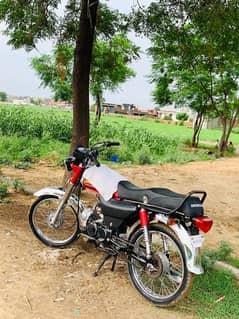 Hi Speed 70 2021