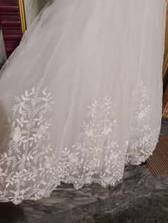 maxci