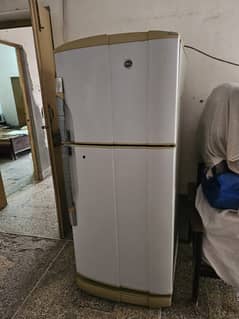 Pel Fridge Refrigerator | Compressor dead