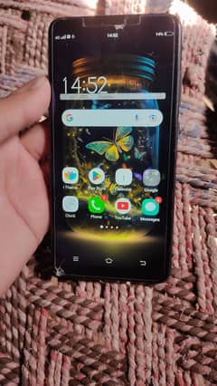 vivo